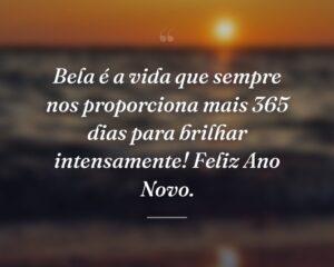 Bela é a vida que sempre nos proporciona mais 365 dias para brilhar intensamente! Feliz Ano Novo.