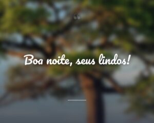 Boa noite, seus lindos!