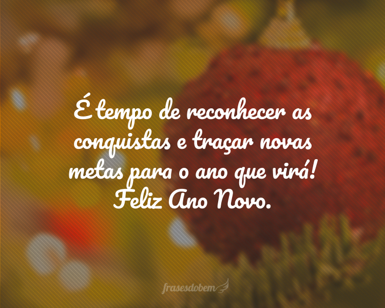 É tempo de reconhecer as conquistas e traçar novas metas para o ano que virá! Feliz Ano Novo.