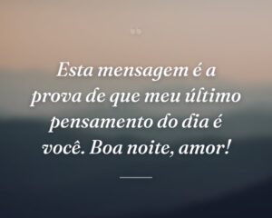Esta mensagem é a prova de que meu último pensamento do dia é você. Boa noite, amor!