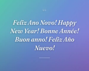 Feliz Ano Novo! Happy New Year! Bonne Année! Buon anno! Feliz Año Nuevo!