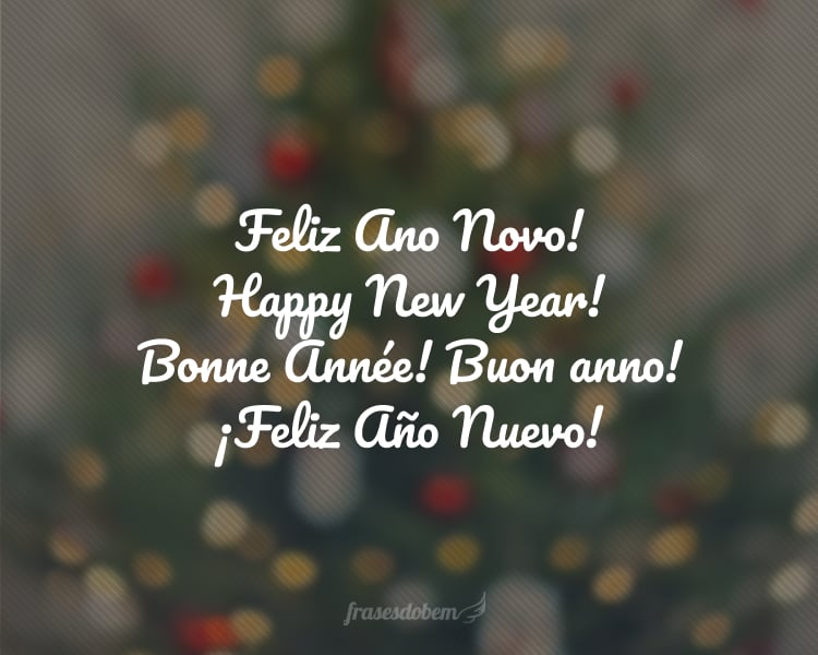 Feliz Ano Novo! Happy New Year! Bonne Année! Buon anno! Feliz Año Nuevo!