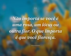 Não importa se você é uma rosa, um lótus ou outra flor. O que importa é que você floresça.