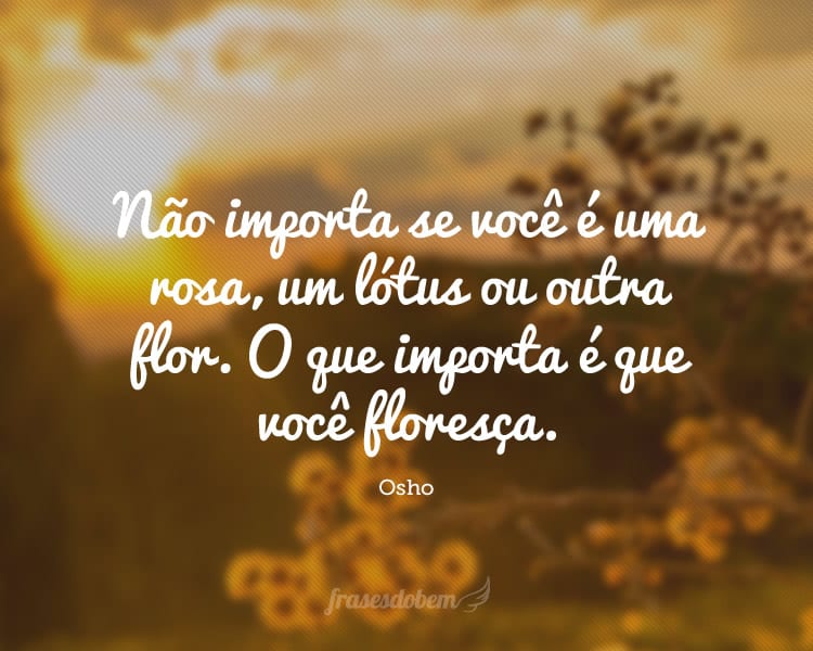 Não importa se você é uma rosa, um lótus ou outra flor. O que importa é que você floresça.