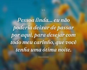 Pessoa linda… eu não poderia deixar de passar por aqui, para desejar com todo meu carinho, que você tenha uma ótima noite.