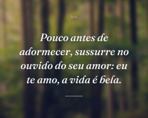 Pouco antes de adormecer, sussurre no ouvido do seu amor: eu te amo, a vida é bela.