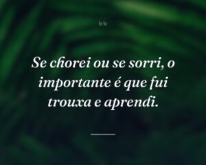 Se chorei ou se sorri, o importante é que fui trouxa e aprendi.