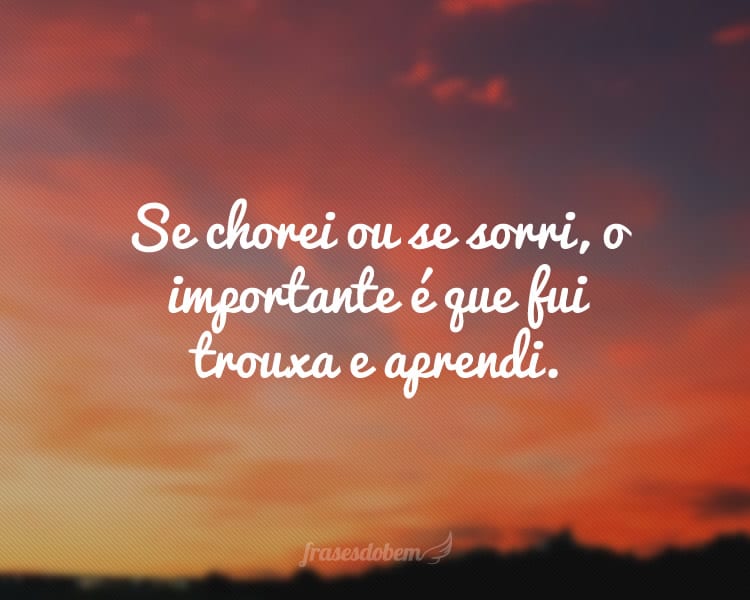 Se chorei ou se sorri, o importante é que fui trouxa e aprendi.