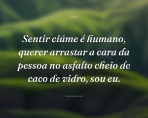 Sentir ciúme é humano, querer arrastar a cara da pessoa no asfalto cheio de caco de vidro, sou eu.