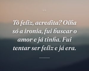 Tô feliz, acredita? Olha só a ironia, fui buscar o amor e já tinha. Fui tentar ser feliz e já era.