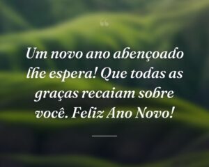 Um novo ano abençoado lhe espera! Que todas as graças recaiam sobre você. Feliz Ano Novo!