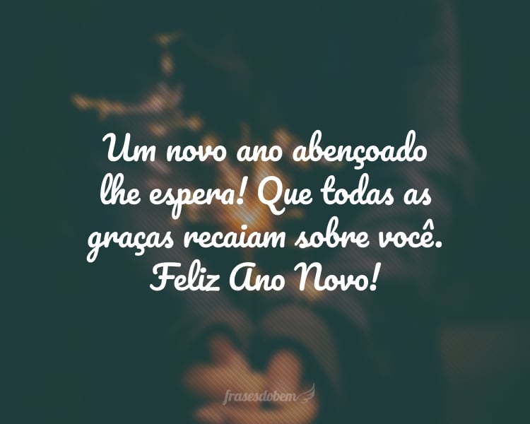 Um novo ano abençoado lhe espera! Que todas as graças recaiam sobre você. Feliz Ano Novo!