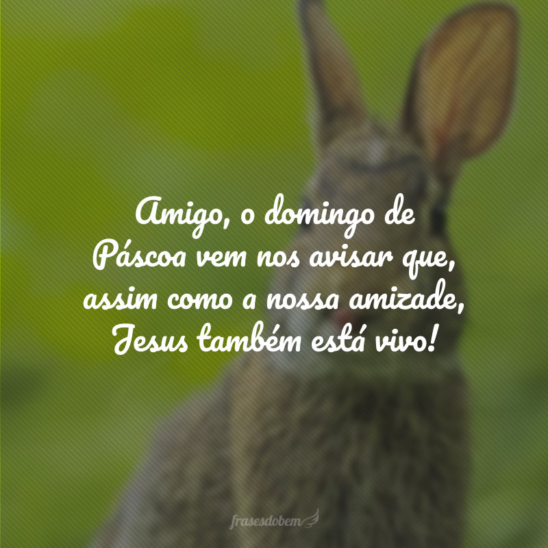 Amigo, o domingo de Páscoa vem nos avisar que, assim como a nossa amizade, Jesus também está vivo!