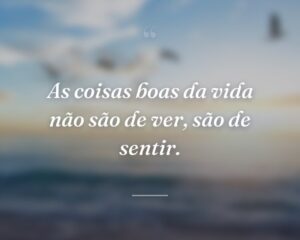 As coisas boas da vida não são de ver, são de sentir.
