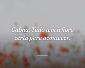 Calma. Tudo tem a hora certa para acontecer.
