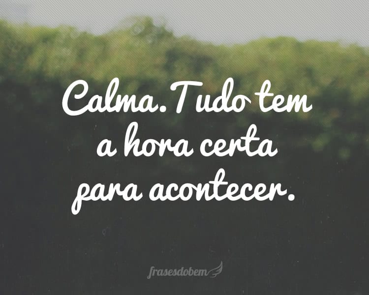 Calma. Tudo tem a hora certa para acontecer.