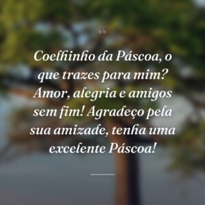 Coelhinho da Páscoa, o que trazes para mim? Amor, alegria e amigos sem fim! Agradeço pela sua amizade, tenha uma excelente Páscoa!