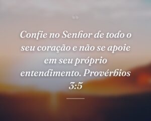Confie no Senhor de todo o seu coração e não se apoie em seu próprio entendimento. Provérbios 3:5