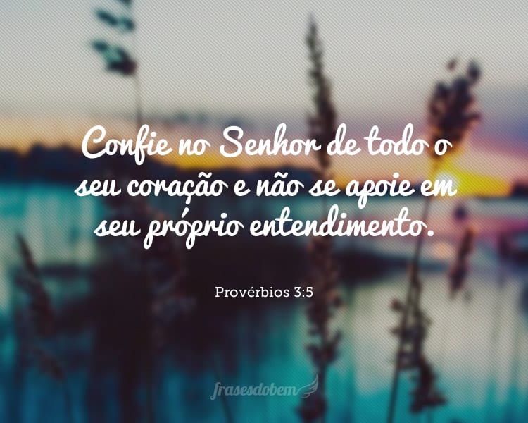 Confie no Senhor de todo o seu coração e não se apoie em seu próprio entendimento. Provérbios 3:5