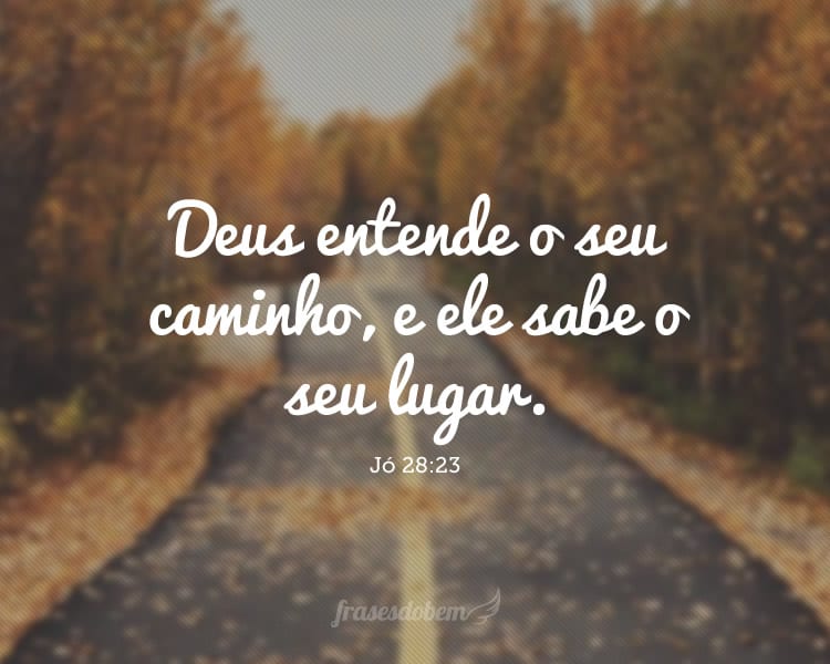 Deus entende o seu caminho, e ele sabe o seu lugar. Jó 28:23