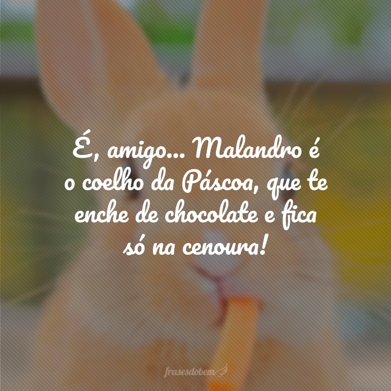 É, amigo... Malandro é o coelho da Páscoa, que te enche de chocolate e fica só na cenoura!