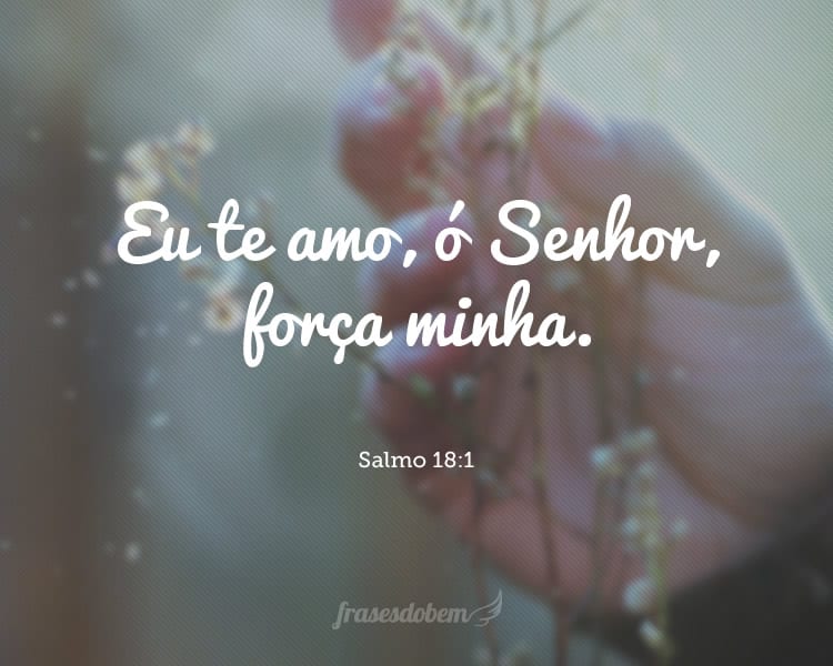 Eu te amo, ó Senhor, força minha. Salmo 18:1