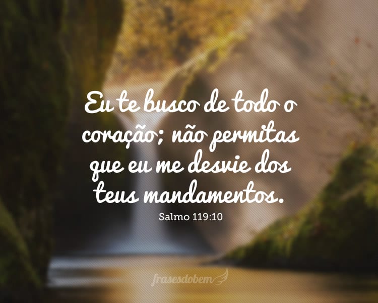 Eu te busco de todo o coração; não permitas que eu me desvie dos teus mandamentos. Salmo 119:10