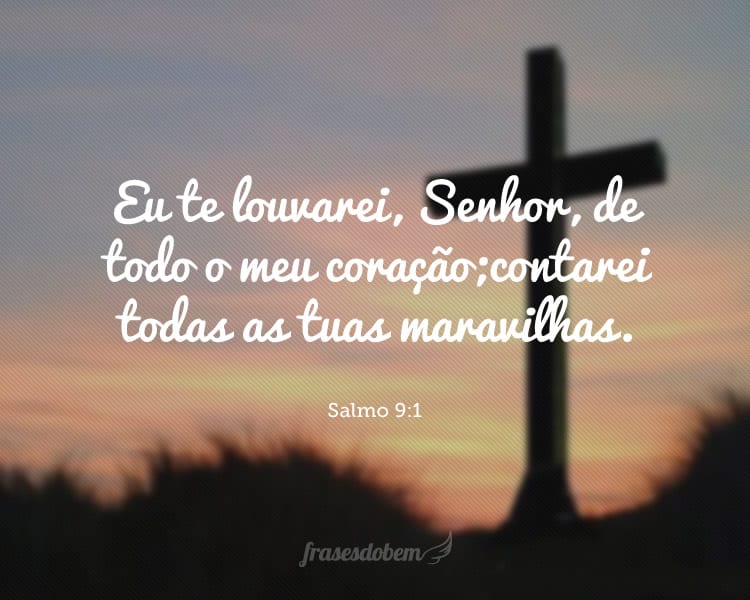 Eu te louvarei, Senhor, de todo o meu coração; contarei todas as tuas maravilhas. Salmo 9:1