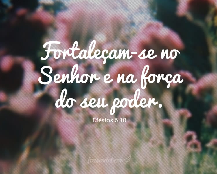 Fortaleçam-se no Senhor e na força do seu poder. Efésios 6:10