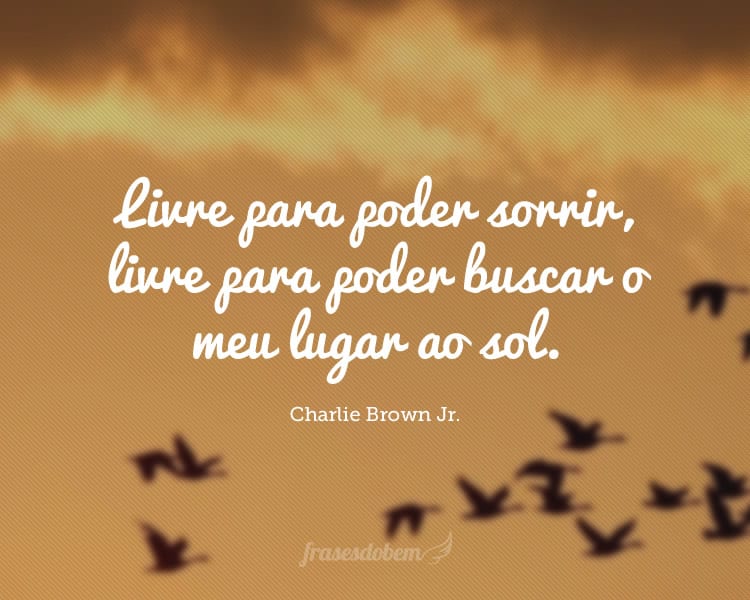 Livre para poder sorrir, livre para poder buscar o meu lugar ao sol.