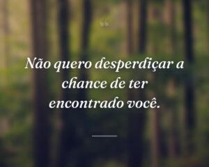 Não quero desperdiçar a chance de ter encontrado você.