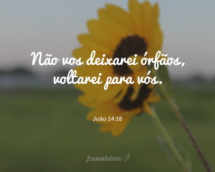 Não vos deixarei órfãos, voltarei para vós. João 14:18