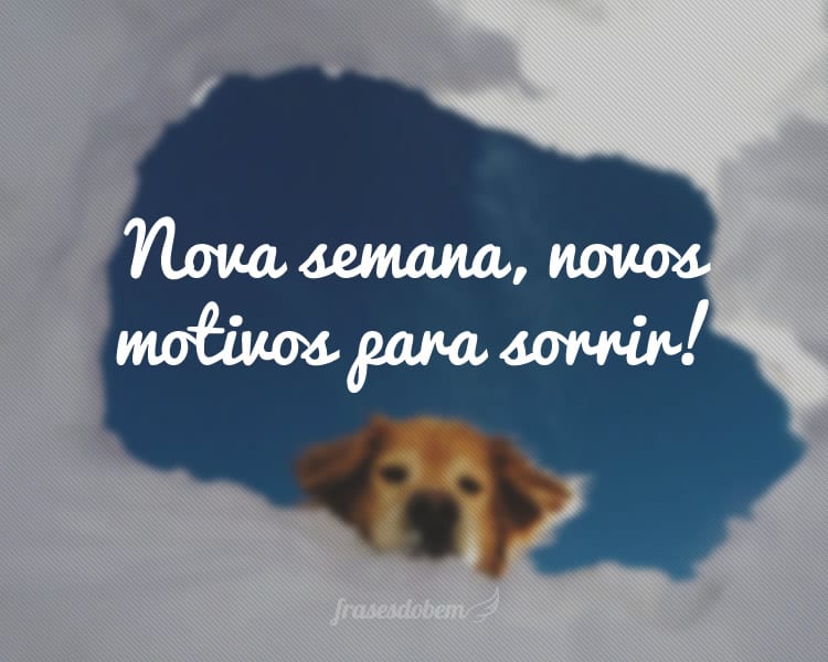 Nova semana, novos motivos para sorrir!