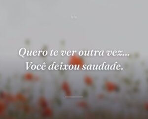 Quero te ver outra vez... Você deixou saudade.