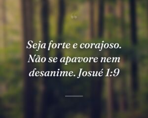 Seja forte e corajoso. Não se apavore nem desanime. Josué 1:9