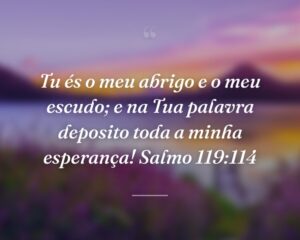 Tu és o meu abrigo e o meu escudo; e na Tua palavra deposito toda a minha esperança! Salmo 119:114