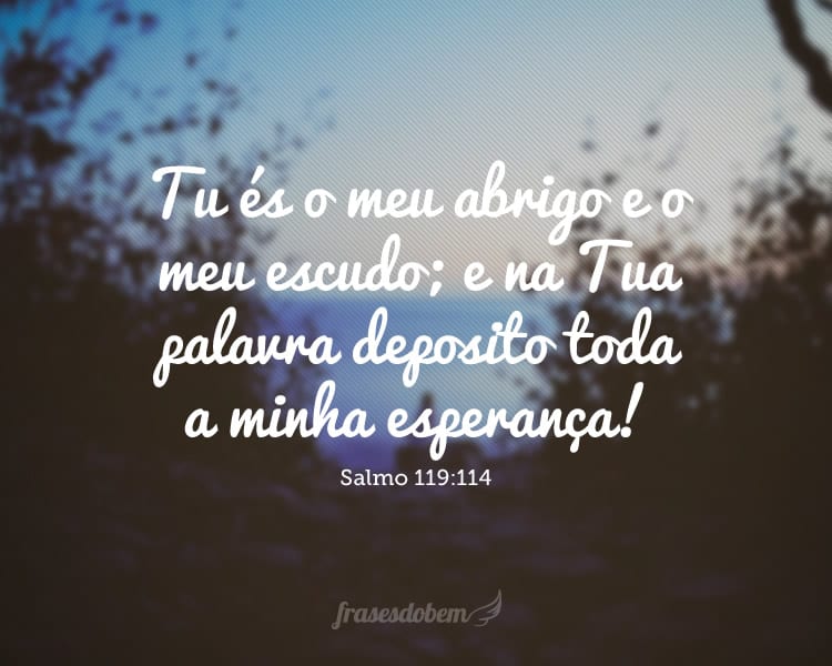 Tu és o meu abrigo e o meu escudo; e na Tua palavra deposito toda a minha esperança! Salmo 119:114