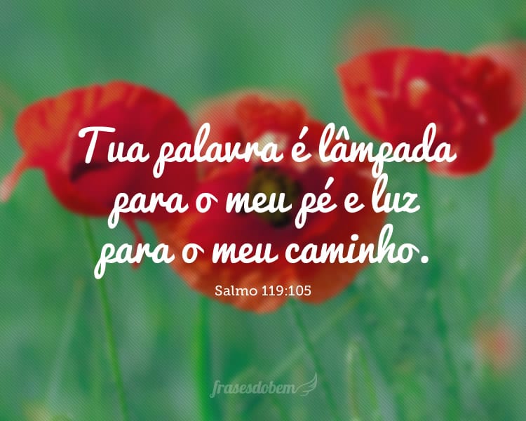 Tua palavra é lâmpada para o meu pé e luz para o meu caminho. Salmo 119:105