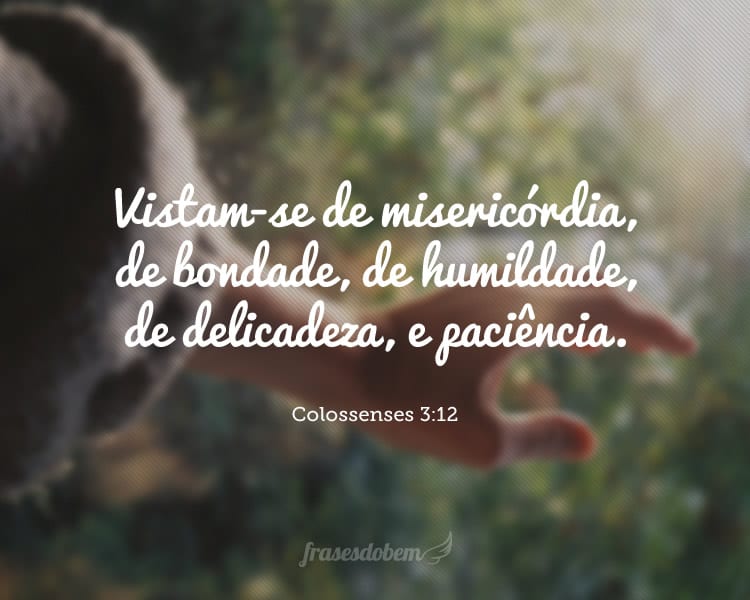 Vistam-se de misericórdia, de bondade, de humildade, de delicadeza, e paciência. Colossenses 3:12