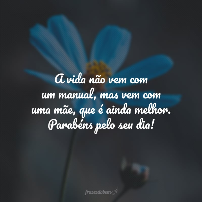 A vida não vem com um manual, mas vem com uma mãe, que é ainda melhor. Parabéns pelo seu dia!