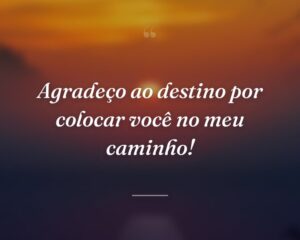 Agradeço ao destino por colocar você no meu caminho!