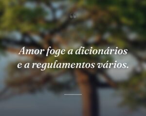 Amor foge a dicionários e a regulamentos vários.