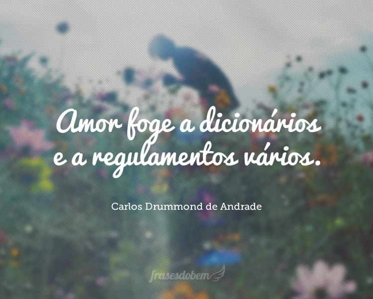 Amor foge a dicionários e a regulamentos vários.