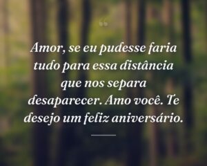 Amor, se eu pudesse faria tudo para essa distância que nos separa desaparecer. Amo você. Te desejo um feliz aniversário.