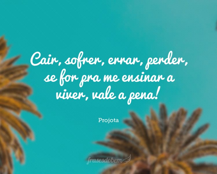 Cair, sofrer, errar, perder, se for pra me ensinar a viver, vale a pena!