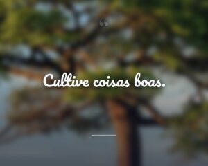 Cultive coisas boas.