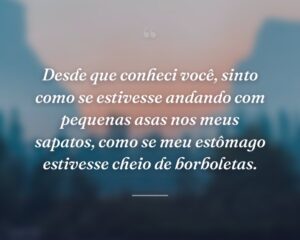 Desde que conheci você, sinto como se estivesse andando com pequenas asas nos meus sapatos, como se meu estômago estivesse cheio de borboletas.