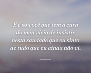 E é só você que tem a cura do meu vício de insistir nesta saudade que eu sinto de tudo que eu ainda não vi.
