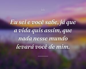 Eu sei e você sabe, já que a vida quis assim, que nada nesse mundo levará você de mim.