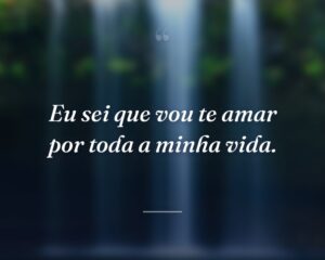 Eu sei que vou te amar por toda a minha vida.